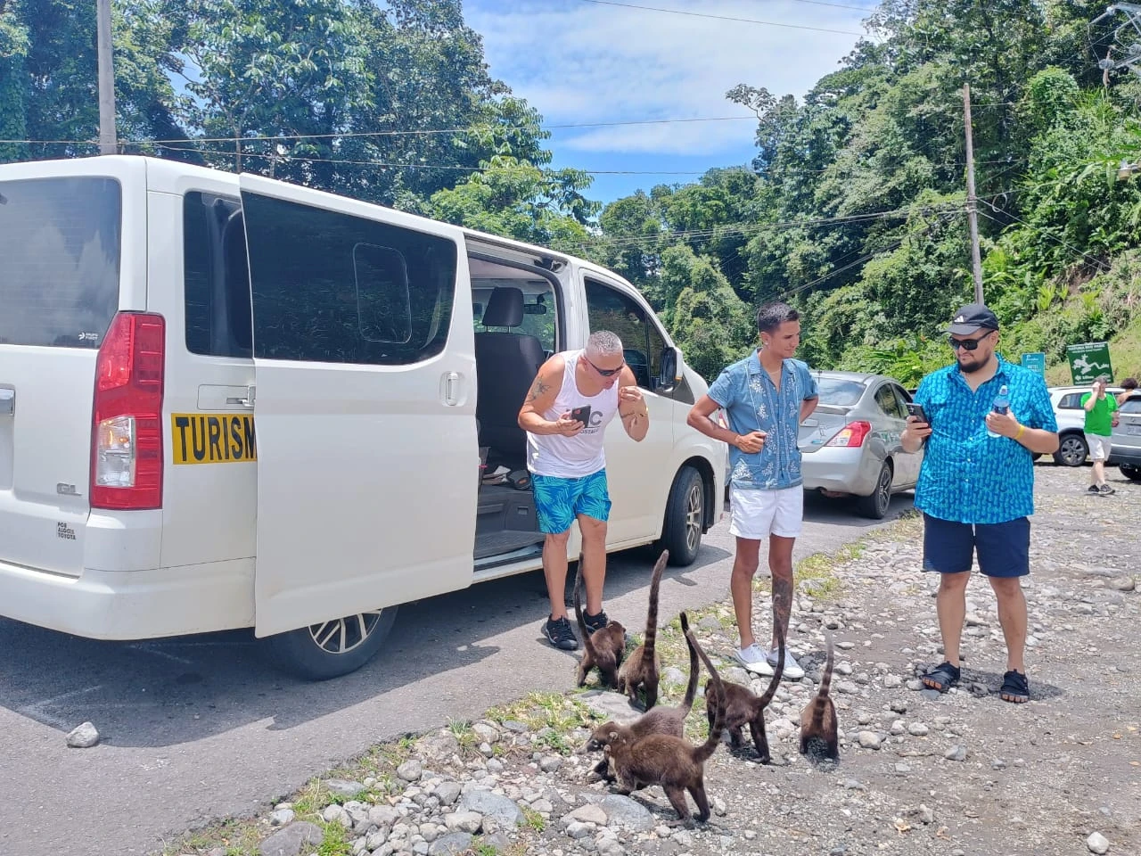 Eagles Shuttle flota