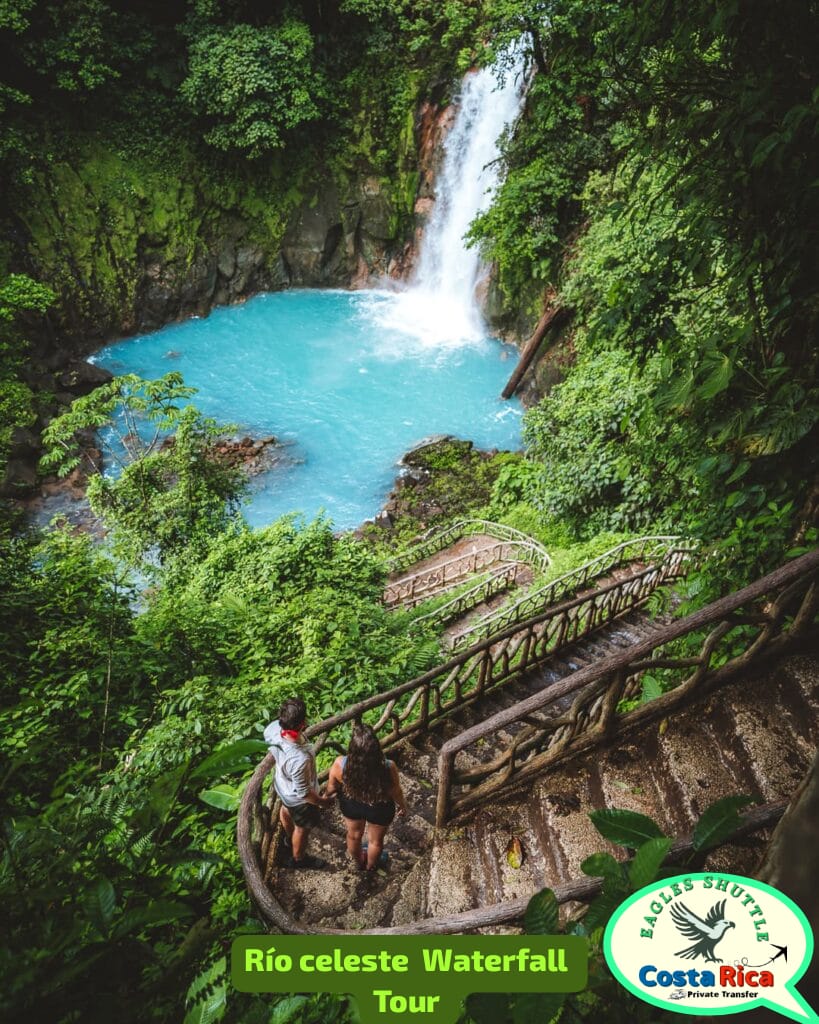 To visit Rio Celeste is to connect with real nature without alterations or manipulations. On this visit you will find a beautiful waterfall, with an original color, blue. To get to this waterfall you must walk approximately one kilometer through the jungle, and you must Go down 500 steps, you must return that way, go up and continue to the next point, a blue lagoon. At the end you will reach the source of the blue water and you will also find the real history of this natural connection.